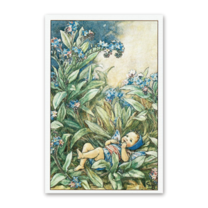 Postcard Flower Fairies, Cicely Mary Barker
