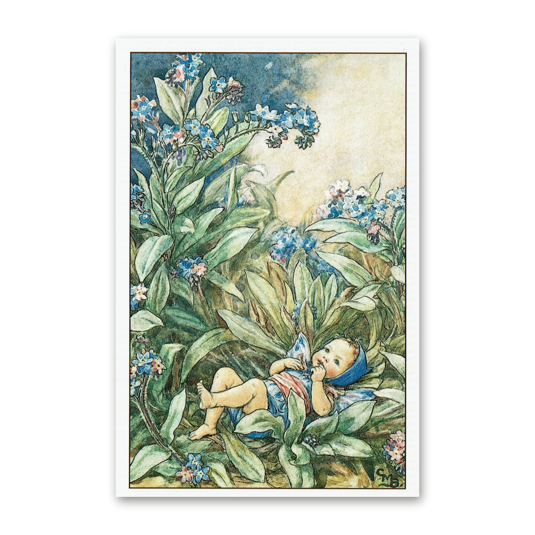 Postcard Flower Fairies, Cicely Mary Barker