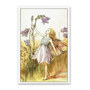 Postcard Flower Fairies, Cicely Mary Barker