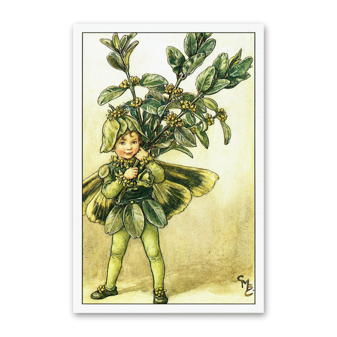 Postcard Flower Fairies, Cicely Mary Barker