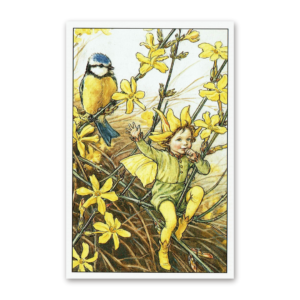 Postcard Flower Fairies, Cicely Mary Barker