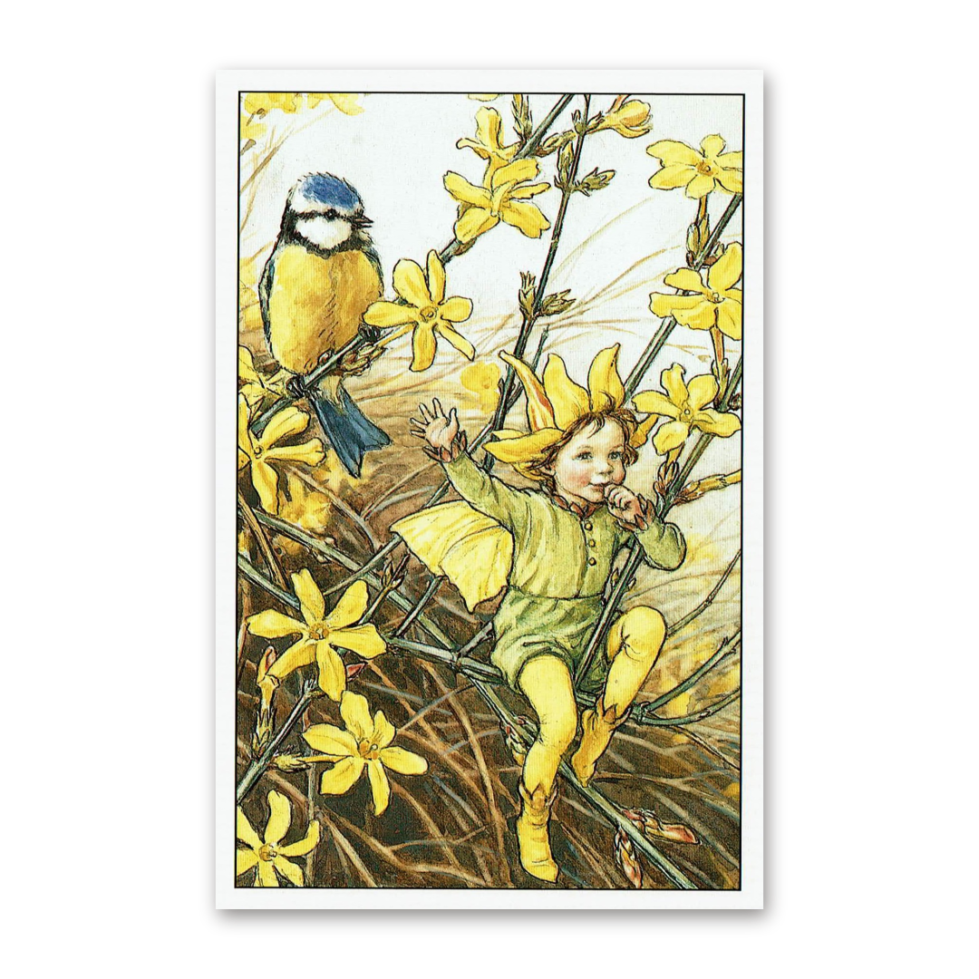 Postcard Flower Fairies, Cicely Mary Barker