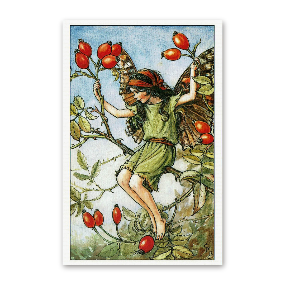 Postcard Flower Fairies, Cicely Mary Barker