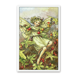 Postcard Flower Fairies, Cicely Mary Barker