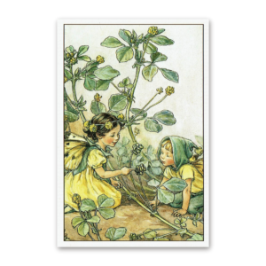 Postcard Flower Fairies, Cicely Mary Barker