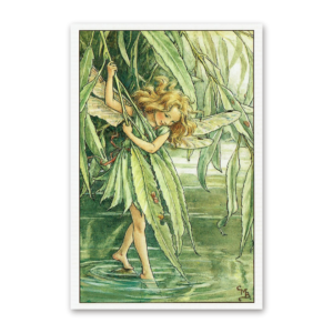 Postcard Flower Fairies, Cicely Mary Barker