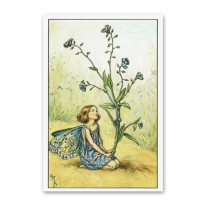 Postcard Flower Fairies, Cicely Mary Barker