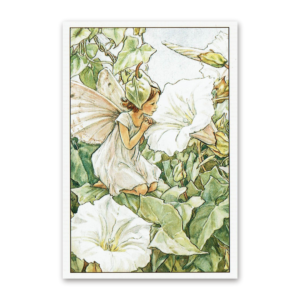 Postcard Flower Fairies, Cicely Mary Barker