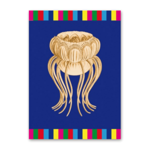 Postcard CHUNKYcard Jellyfish, Bizarr