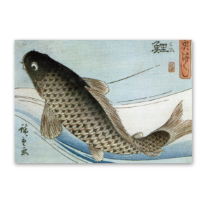 Postcard Carp, Utagawa Hiroshige