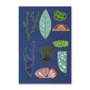 Postcard Fungarium, Katie Scott