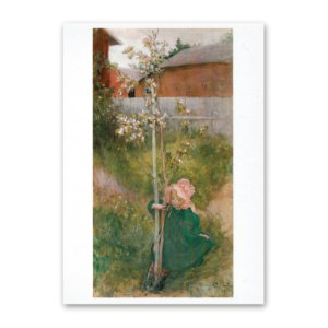Postcard Apple Blossom, Carl Larsson 1993
