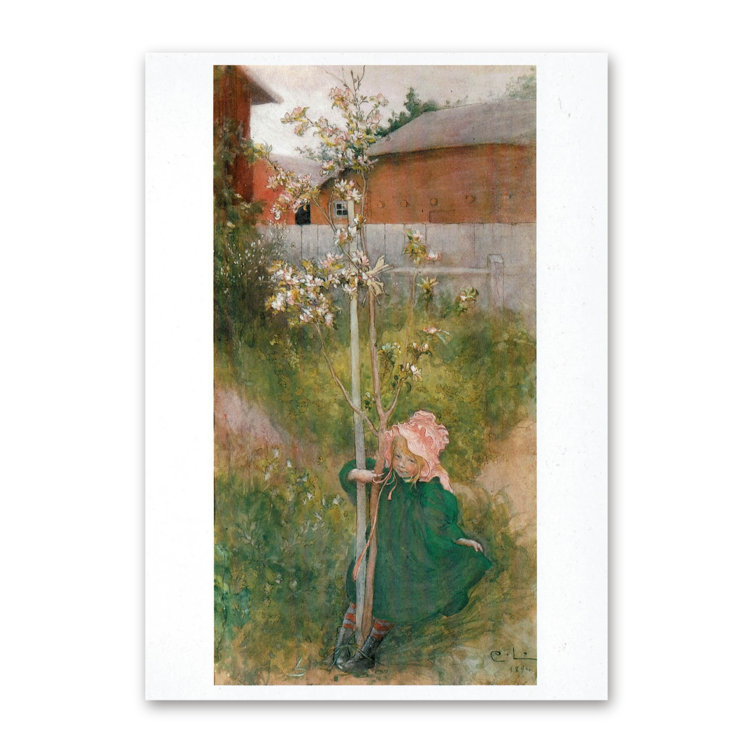 Postcard Apple Blossom, Carl Larsson 1993