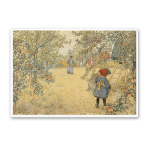 Postcard Apple Harvest, Carl Larsson 1993