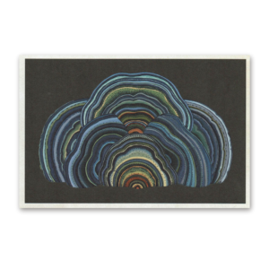 Postcard Fungarium, Katie Scott