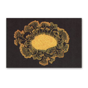 Postcard Fungarium, Katie Scott