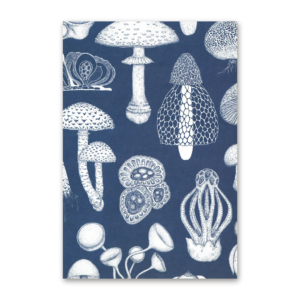 Postcard Fungarium, Katie Scott