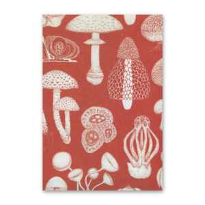 Postcard Fungarium, Katie Scott