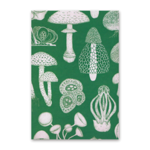 Postcard Fungarium, Katie Scott