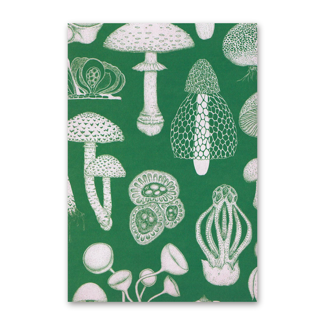 Postcard Fungarium, Katie Scott