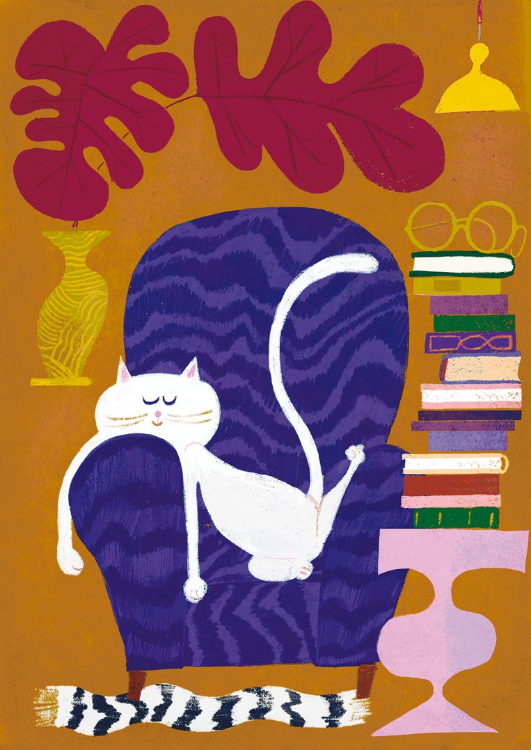 Catnap
