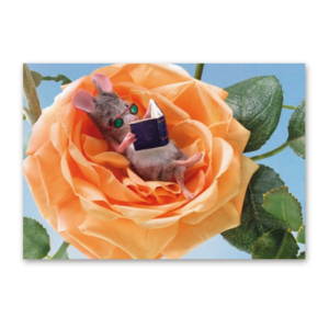 Postcard Bookmouse, Maggie Rudy