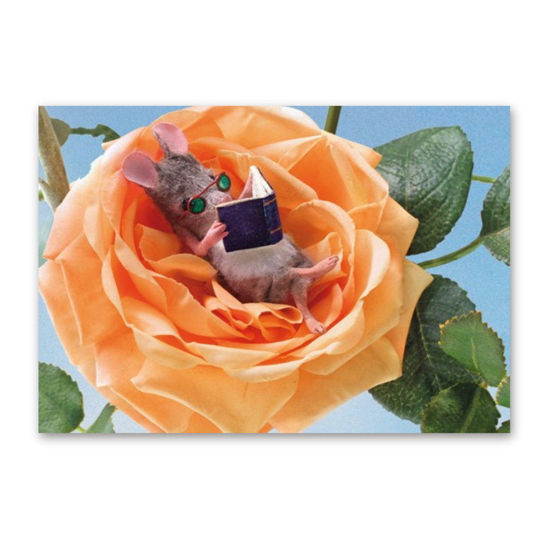 Postcard Bookmouse, Maggie Rudy