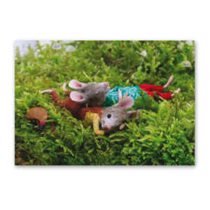 Postcard Forest Bathing, Maggie Rudy
