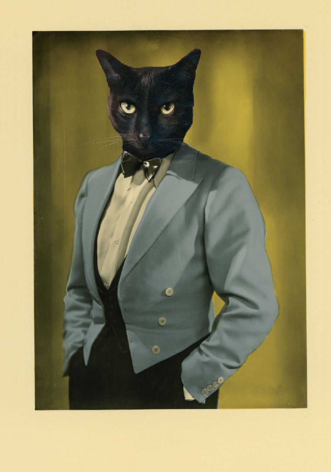 monsenior la noir_1920x1920