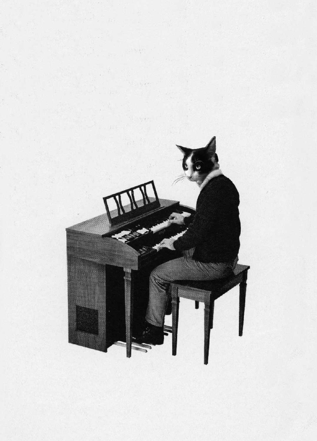 piano_1920x1920