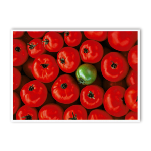 Postcard Red Collection, 2000