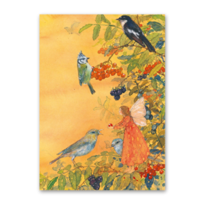 Postkarte Elfe und Vögel, Daniela Drescher