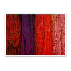 Postcard Red Collection, 2000