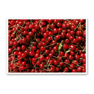 Postcard Red Collection, 2000