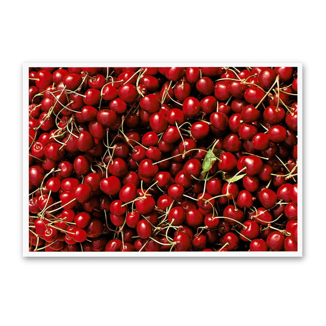 Postcard Red Collection, 2000