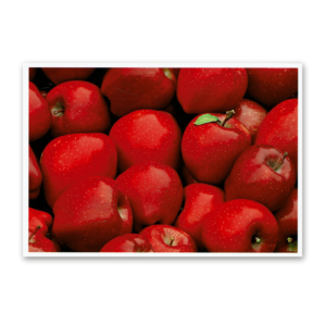 Postcard Red Collection, 2000