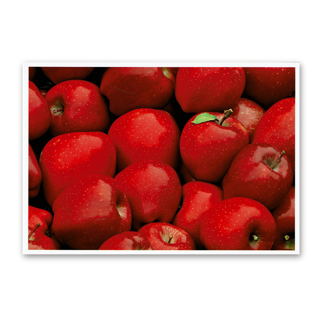 Postcard Red Collection, 2000