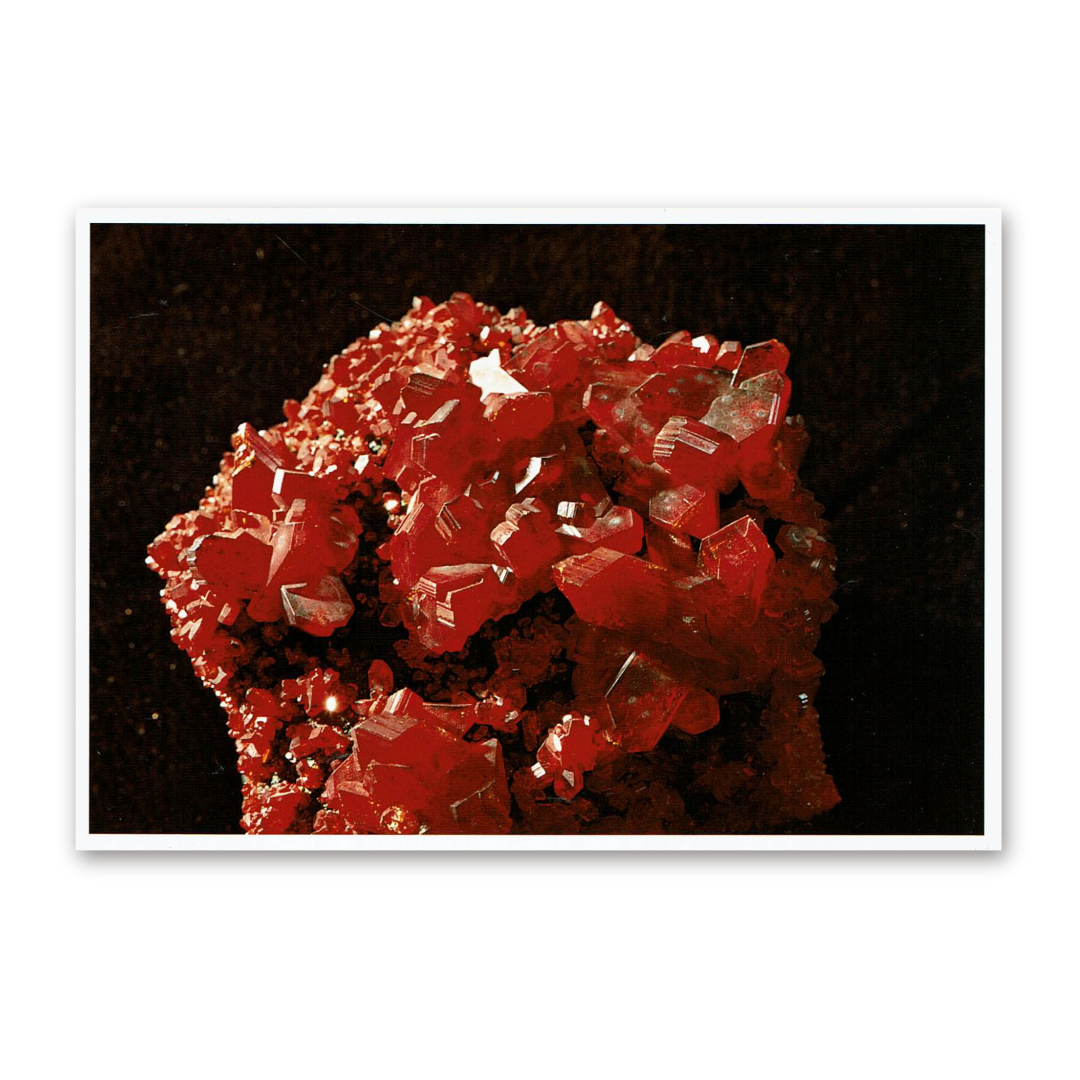 Postcard Red Collection, 2000