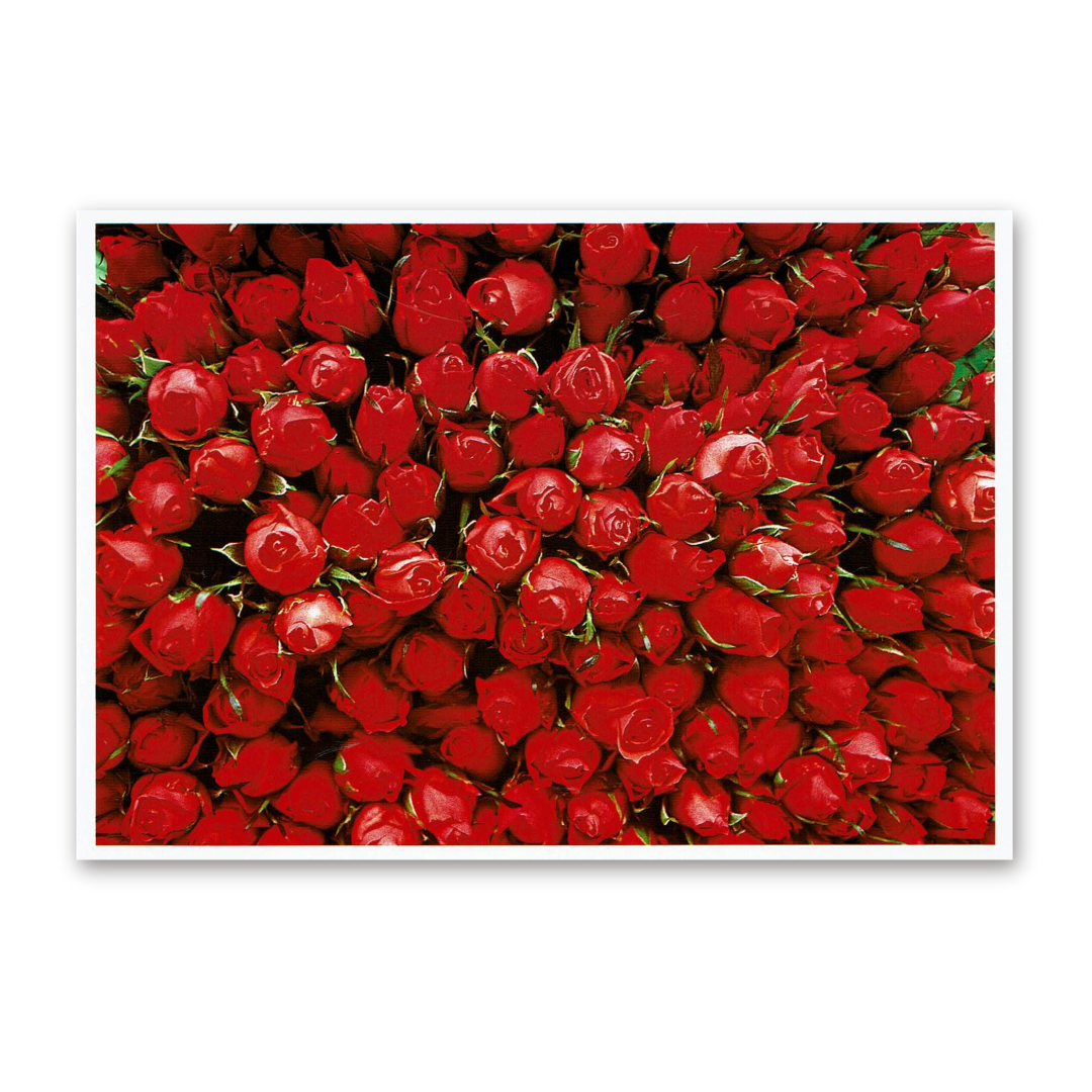 Postcard Red Collection, 2000