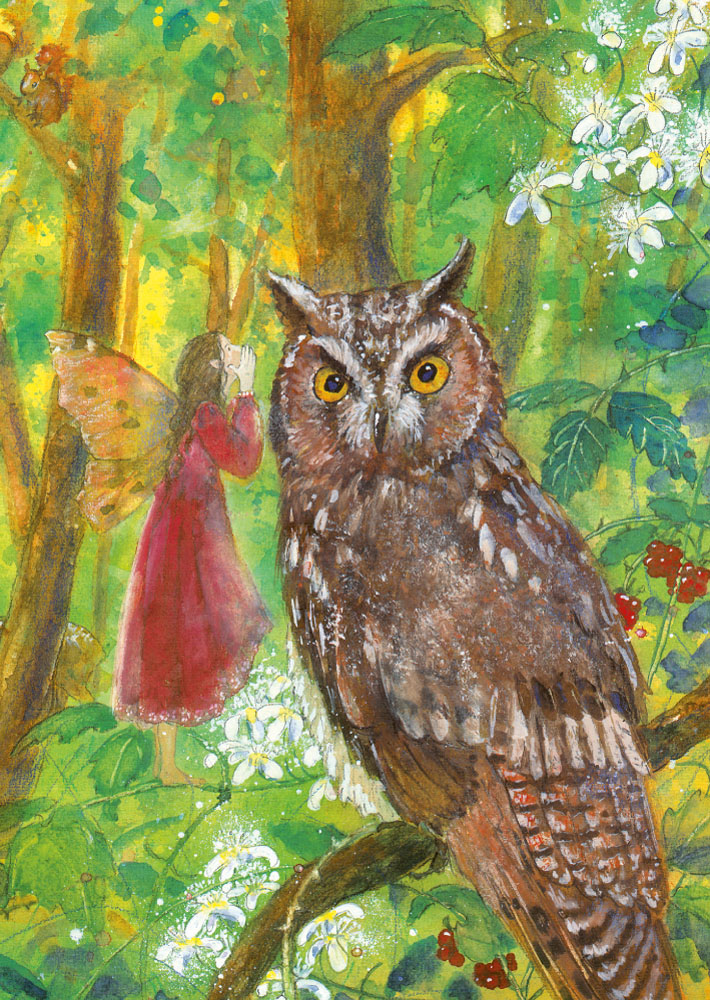 Elfe und Eule