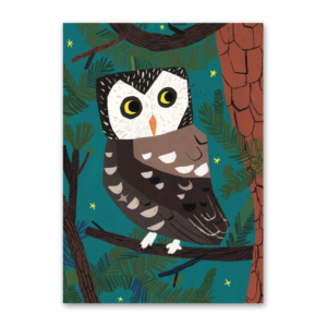 Postcard Barn Owl, Kehvola