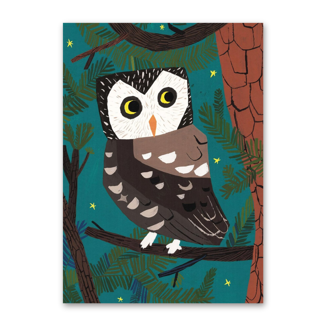 Postcard Barn Owl, Kehvola