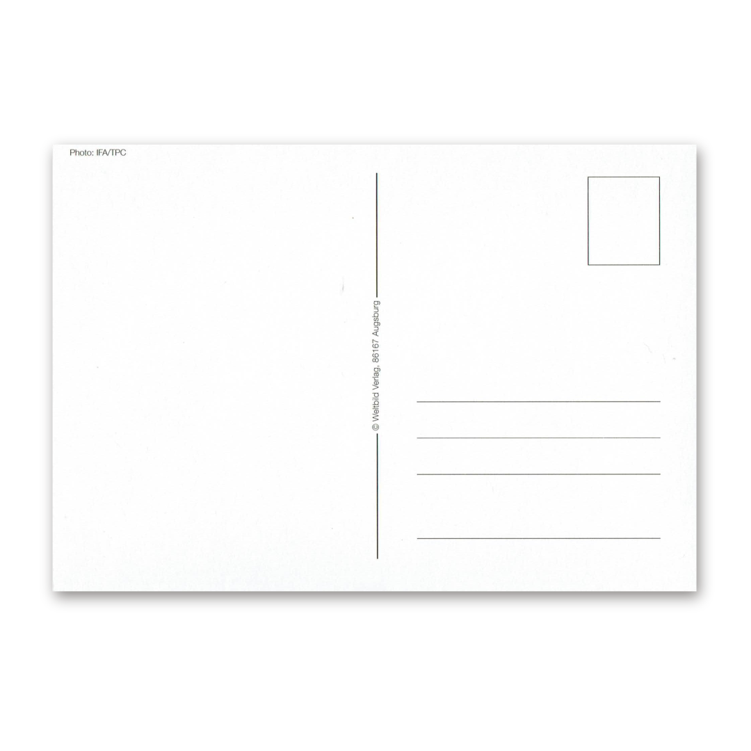 Postcard Red Collection, 2000