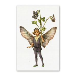 Postcard Flower Fairies, Cicely Mary Barker