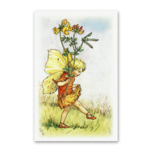 Postcard Flower Fairies, Cicely Mary Barker