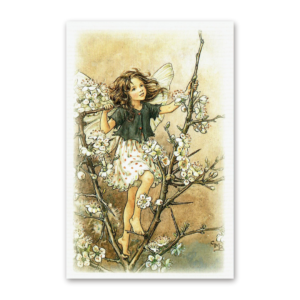 Postcard Flower Fairies, Cicely Mary Barker