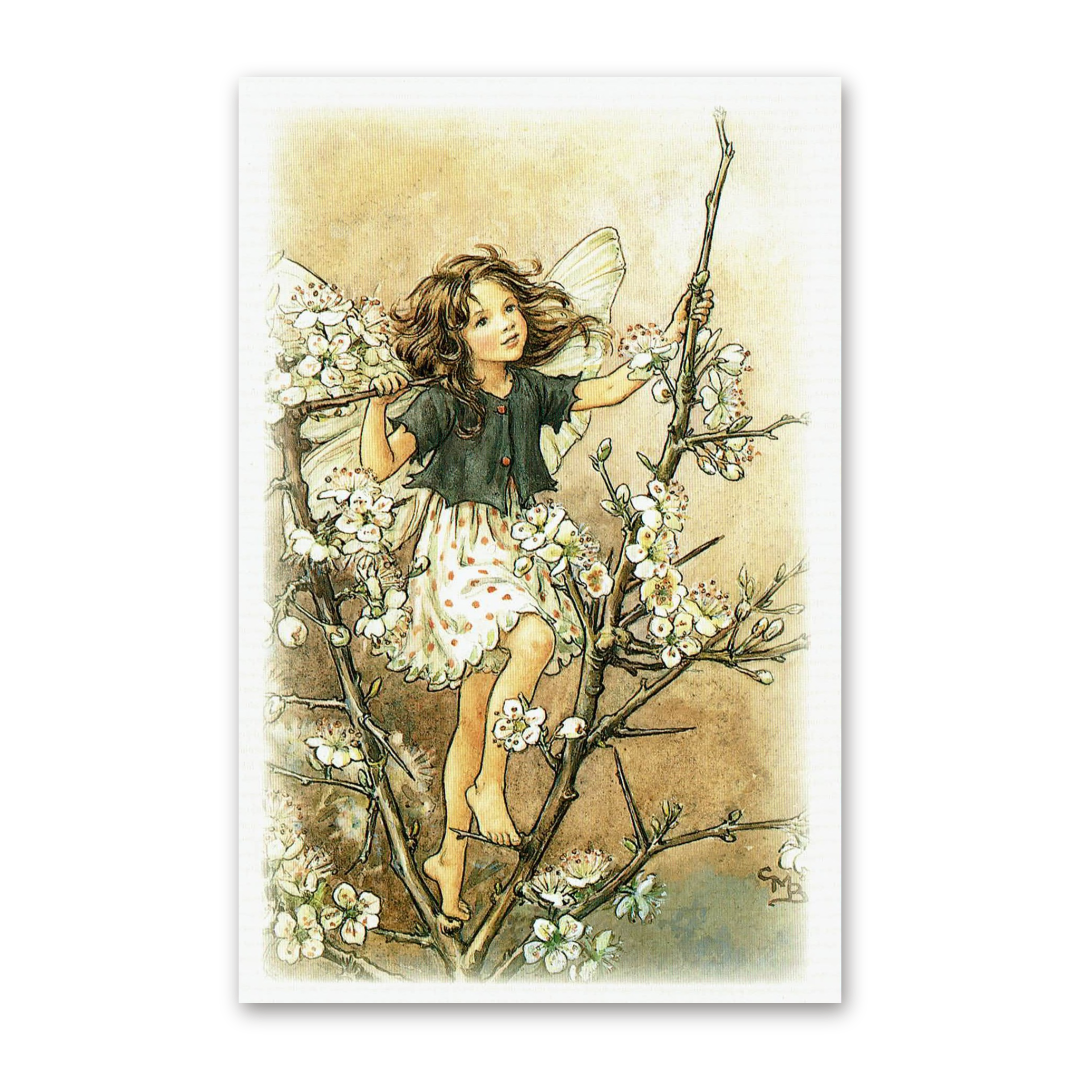Postcard Flower Fairies, Cicely Mary Barker