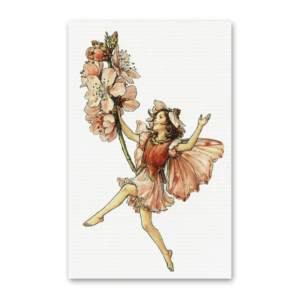 Postcard Flower Fairies, Cicely Mary Barker
