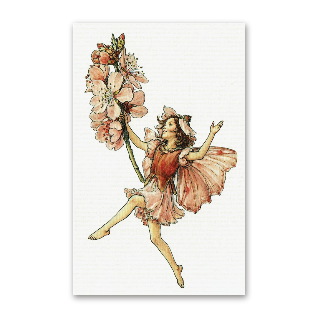 Postcard Flower Fairies, Cicely Mary Barker