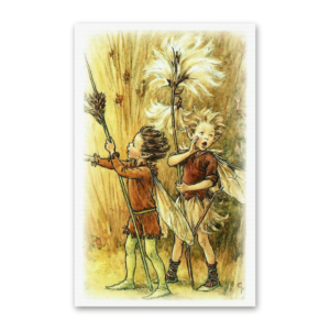 Postcard Flower Fairies, Cicely Mary Barker